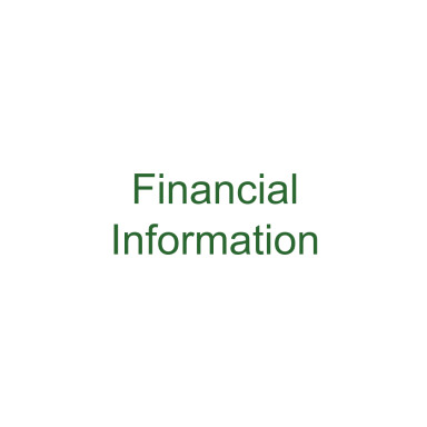 Financial Information 
